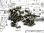 Schraubenset Titan unten MRX-4