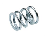 Servo Saver Feder