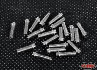 Miniature Scale Hex Bolts (M3x10mm) (Silver)