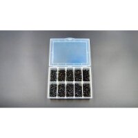 M3 Schrauben 10.9 Set mit Plastikbox 350Stk.