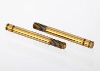 GTR Dämpfer-Kolbenstange Tin beschichtet (2)