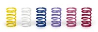 Ultimate Racing Federn, Basisset