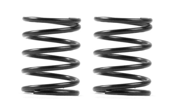 3S federn Set C=3,5 (2)