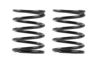 3S federn Set C=3,5 (2)