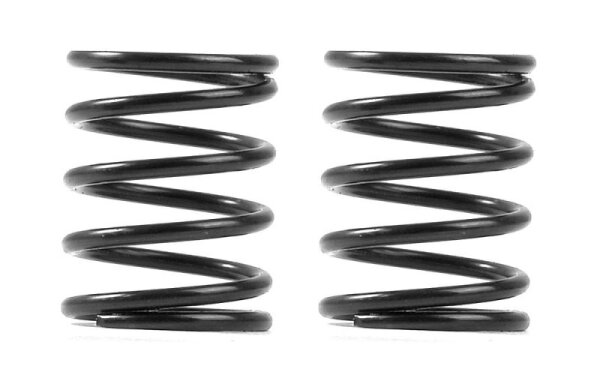 3S federn Set C=4,5 (2)