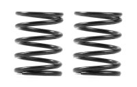 3S federn Set C=4,5 (2)