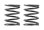 3S federn Set C=5,0 (2)