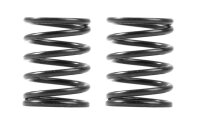3S federn Set C=5,5 (2)