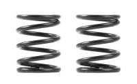 3S Federn Set C=8,0 (2)