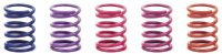 Federn Set C=4.7 Soft-Medium-Vorne (2)