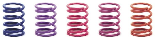 Federn Set C=5.0 Medium-Hart Hinten (2)