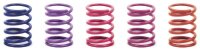 Federn Set C=5.0 Medium-Hart Hinten (2)