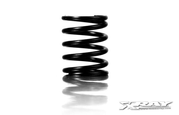 Stoßdämpfer Federnset vorne C=7.5