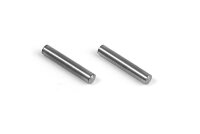 Pin (2) für Active Diff 2 x 12
