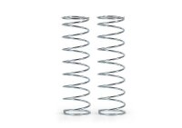 Federn-Satz C=0,53 (Silber), hinten