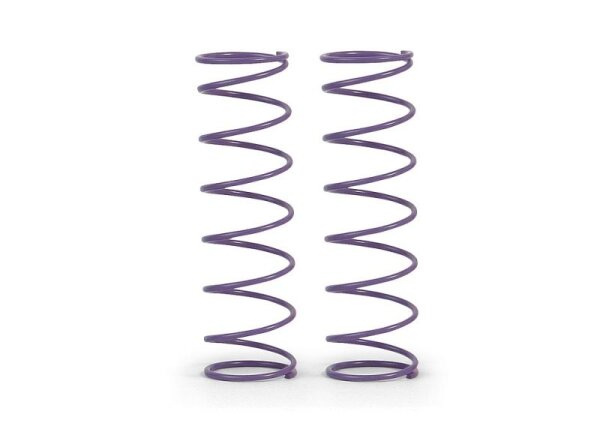 Federn-Satz C=0,65 (Violett), hinten