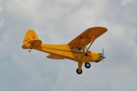 Phoenix Piper J-3 Cub - 215 cm