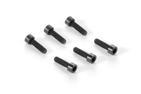 ALU 7075 HEX SCREW M3x10 (6)