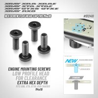 HEX SCREW FLAT HEAD CAP FHS M4x10  (4)