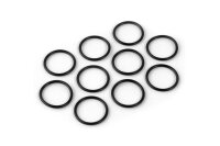 O-RING 16 x 2.0  (10)