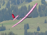 M24 V380 Elektro Super-ARF Pink F5J-Thermiksegler