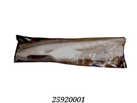 ROBBE Arcus V-Tail EDF 1,40m Ersatzrumpf ohne Dekor