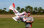 Flex Innovations MAMBA 60E SUPER PNP red day dualsky-motor