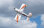 Flex Innovations RV-8 10E G2 SUPER PNP blue night