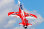 Freewing Ares 3D Rot 90mm EDF Jet - ARF PLUS