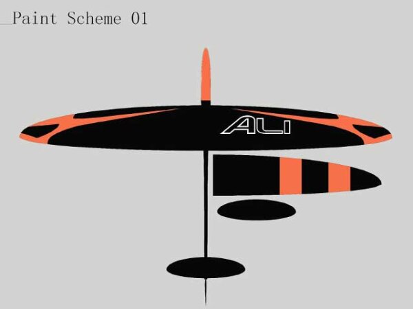 RCRCM Ali F3K/DLG CFK 1490mm ARF Orange
