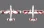 TWIN OTTER 80E FLÜGELPAAR NACHT RED DECAL SCHEME
