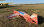 Giles 202 FlexFoam Rot