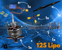 T-Motor 12S Antriebsset für 3D Modelle bis 2,4m...