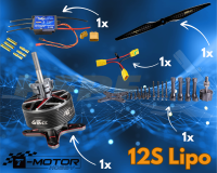 T-Motor 12S Antriebsset für 3D Modelle bis 2,2m...