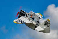 RC Factory Cartoon Warbird Texan AT-6