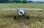 Flex Innovations AVIATOR 40E BUSH WHEEL LANDING GEAR SET