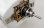 Flex Innovations DUALSKY ECO 4120C 500KV BL MOTOR