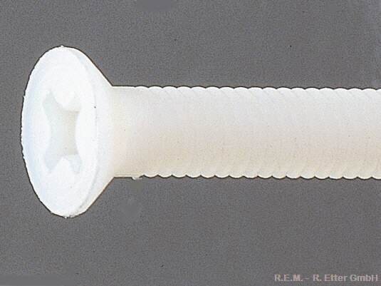 Senkschraube Nylon mit Kreuzschlitz M 6x50 (10 stk)