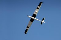 Topmodel CZ Falcon 1,5m Grün