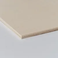 Sperrholz Pappal Funierplatte 6 x 300 x 500 mm