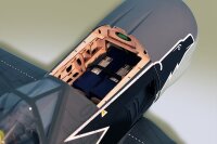 Phoenix FW-190 Focke Wulf - 172 c m