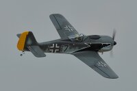 Phoenix FW-190 Focke Wulf - 172 c m