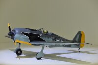 Phoenix FW-190 Focke Wulf - 172 cm