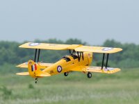 Phoenix Tiger Moth 1,44m