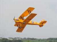 Phoenix Tiger Moth 1,44m