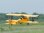 Phoenix Tiger Moth 1,44m