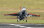 Flex Innovations Dekorsatz "Thunderbirds" Silber F-100D