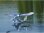 ROBBE WINGO 2 PNP "YOU CAN FLY" VORMONTIERT MIT BRUSHLESS MOTOR, REGLER UND SERVO