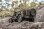 FMS 1941 Willys MB Scaler 1:12 - Crawler RTR 2.4GHz