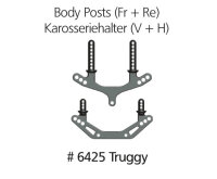 Karosseriehalter: Fighter Truggy (2 stk)